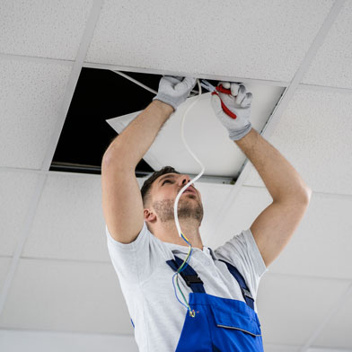 Professional Service